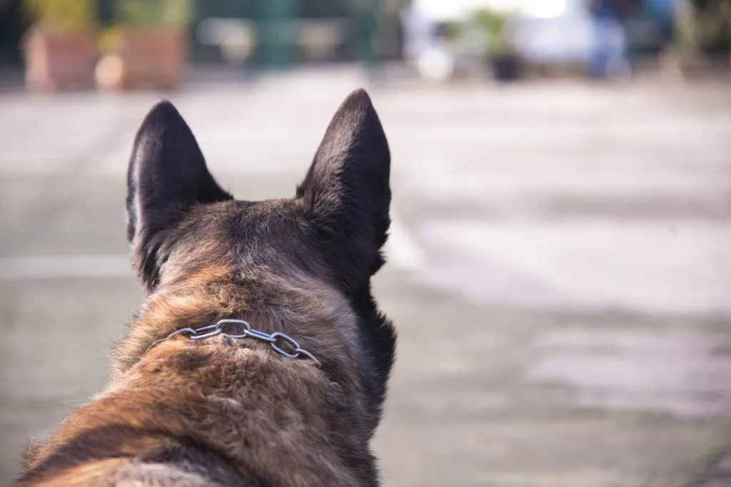 Séance d'entraînement en extérieur